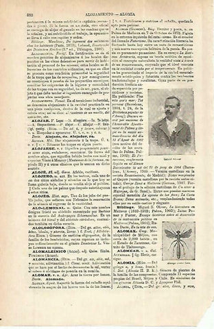 LAMINA ESPASA 33861: Gabriel Alomar