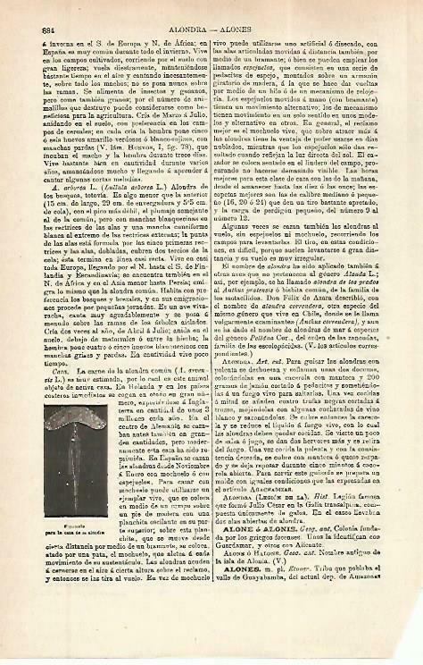 LAMINA ESPASA 33862: Espejuelo para la caza de la alondra