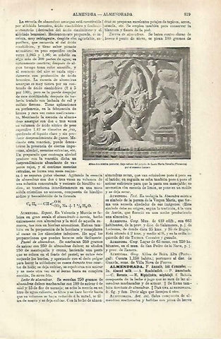 LAMINA ESPASA 33832: Almendra mistica , relieve en Florencia