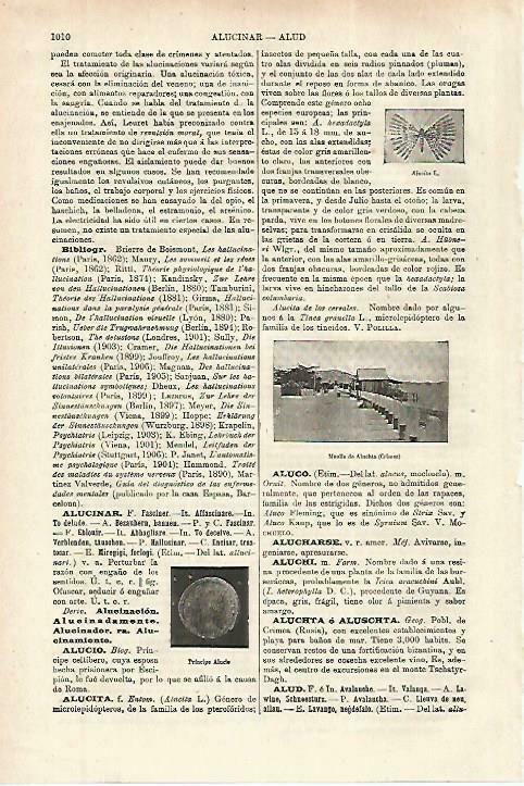 LAMINA ESPASA 33909: Muelle de Aluchta en Crimea