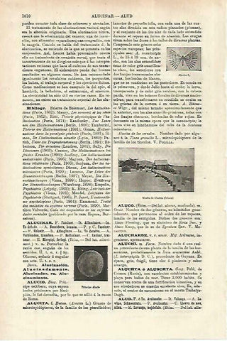 LAMINA ESPASA 33909: Muelle de Aluchta en Crimea