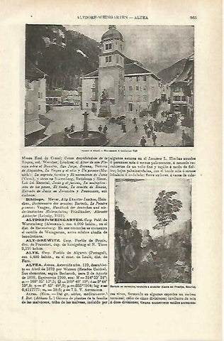 LAMINA ESPASA 33895: Monumento a Guillermo Tell en Altori