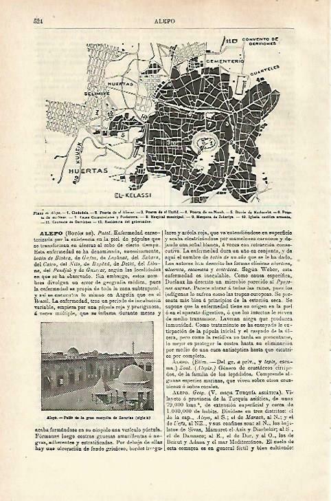 LAMINA ESPASA 33707: Plano de Alepo, Siria