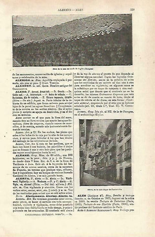 LAMINA ESPASA 33711: Casa de Argillo, Zaragoza