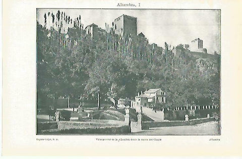LAMINA ESPASA 33781: Vista general de la Alhambra