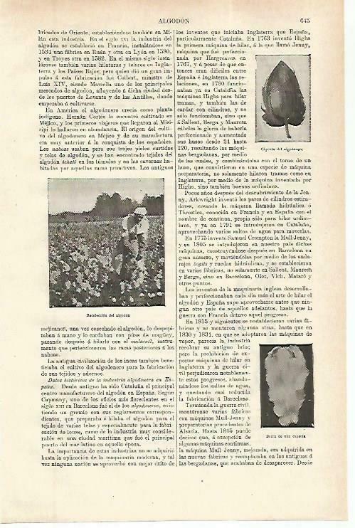 LAMINA ESPASA 33790: Recoleccion de algodón