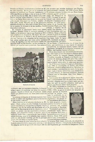 LAMINA ESPASA 33790: Recoleccion de algodón