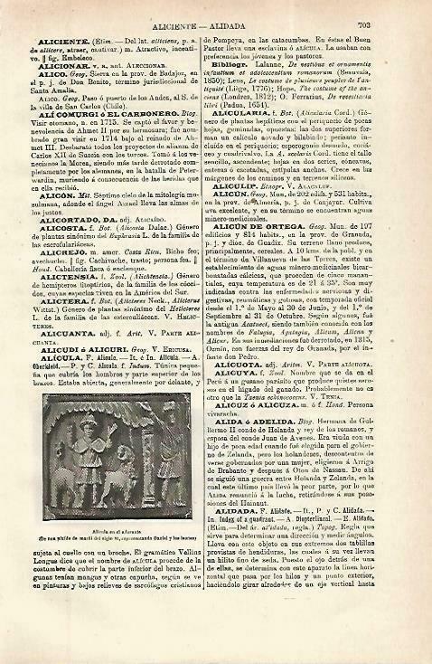 LAMINA ESPASA 33794: Alicula en el adorante