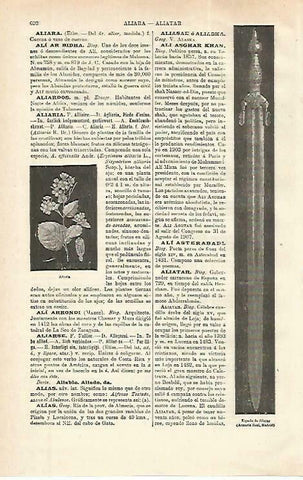 LAMINA ESPASA 33766: Espada de Aliatar