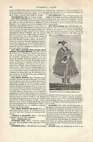 LAMINA ESPASA 33769: Ali Adil Shah