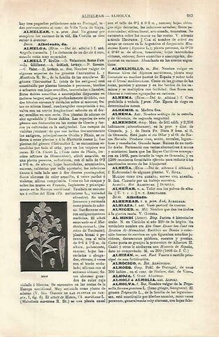 LAMINA ESPASA 33770: Alheli