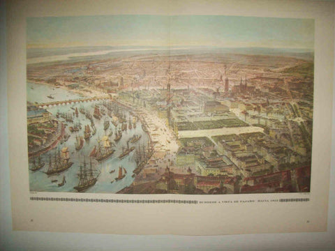 LAMINA 14994: Burdeos. Vista aerea hacia 1855