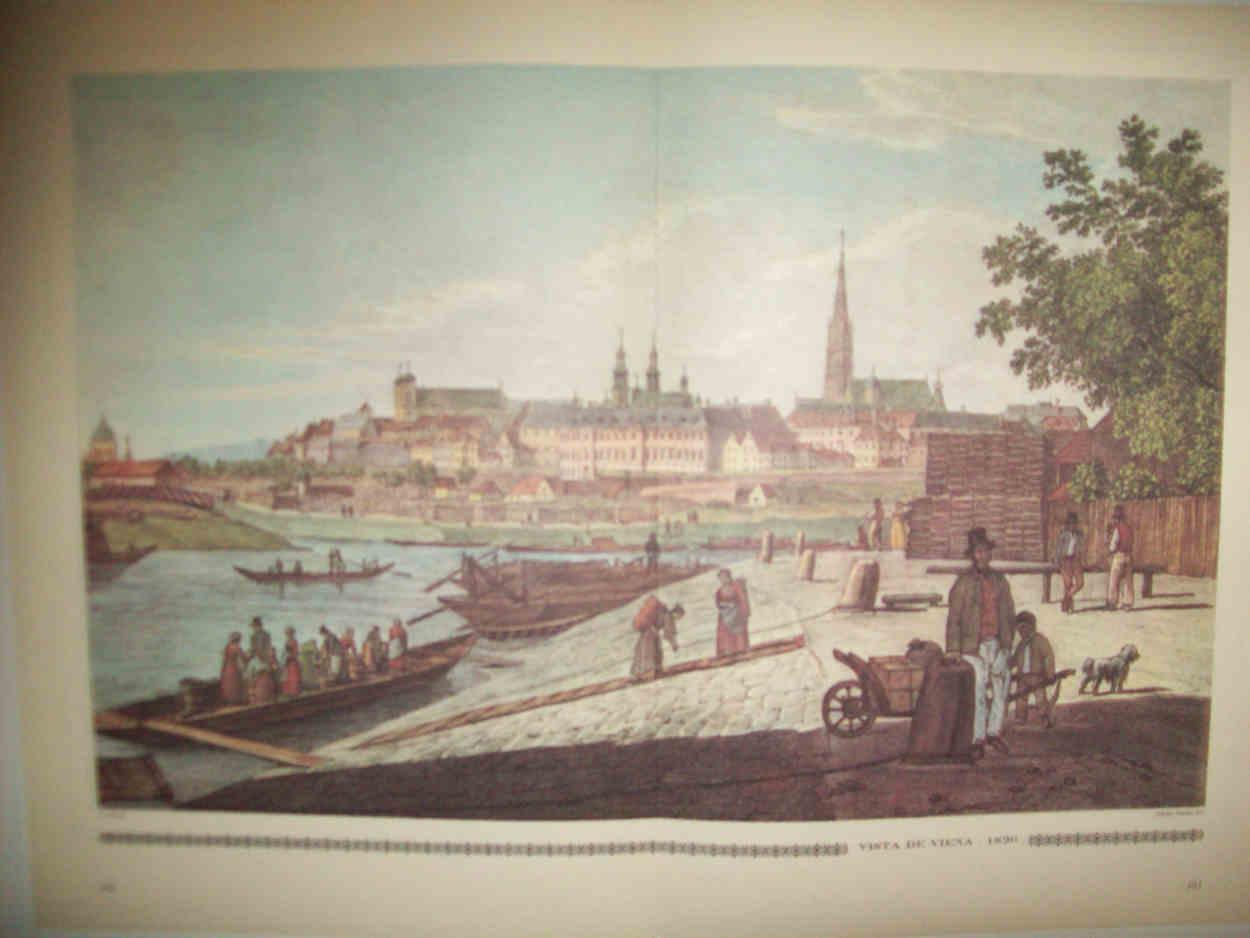 LAMINA 14986: Vista de Viena hacia 1820
