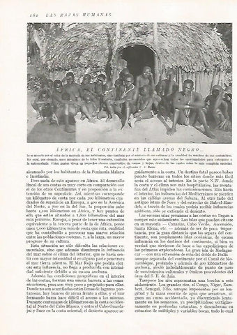 LAMINA 15631: Africanos