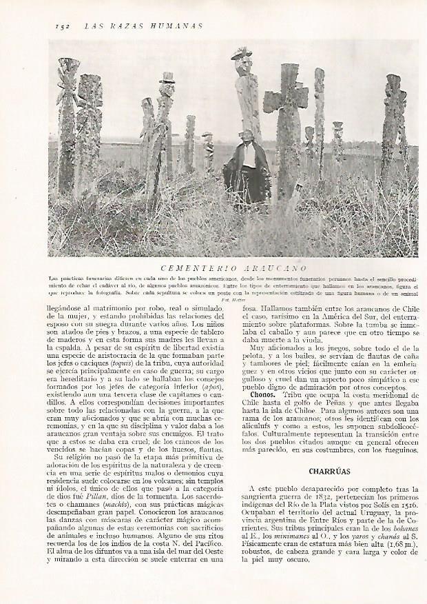 LAMINA 15626: Cementerio Araucano