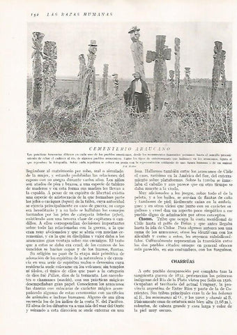 LAMINA 15626: Cementerio Araucano