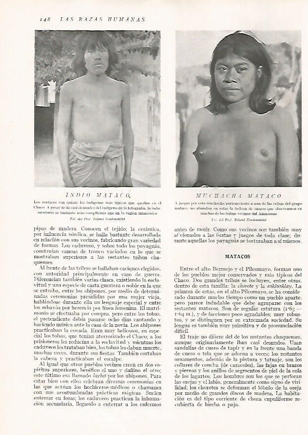 LAMINA 15624: Matacos