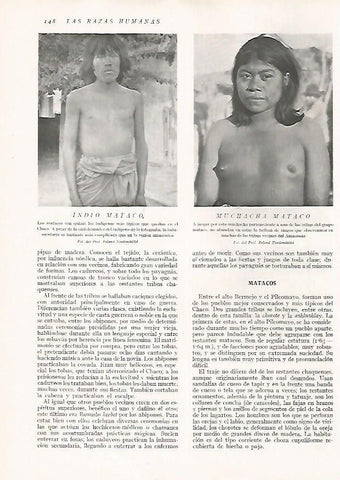 LAMINA 15624: Matacos