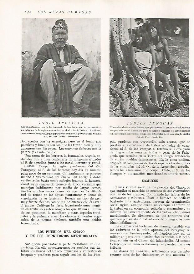 LAMINA 15623: Indio Apolista y Lengua