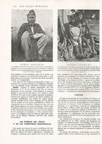 LAMINA 15623: Indio Apolista y Lengua