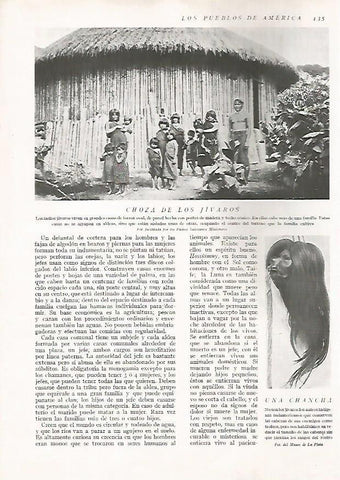 LAMINA 15617: Choza y chancha jivara
