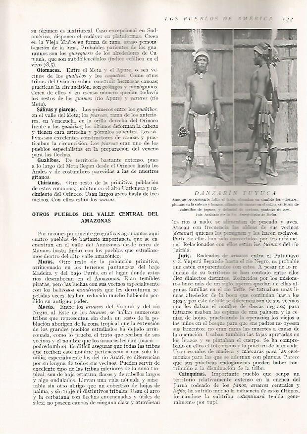 LAMINA 15616: Danzarin tuyuca