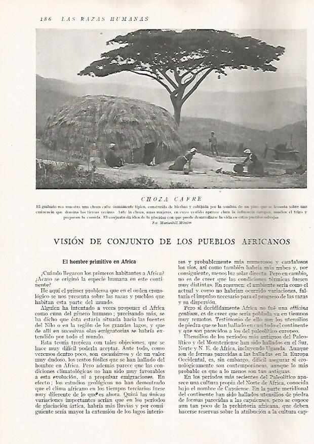 LAMINA 15643: Choza Cafre
