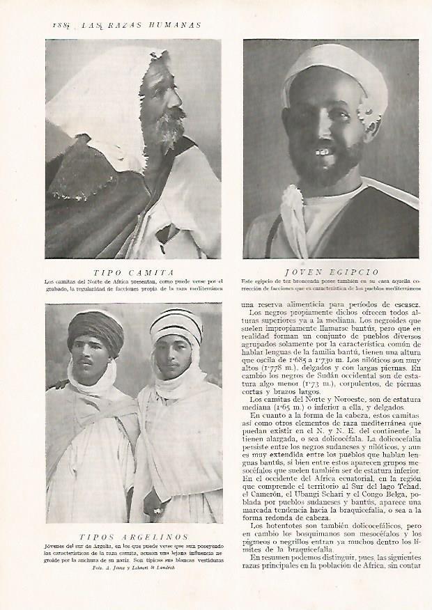 LAMINA 15644: Hombres camita, de Egipto y de Argelia