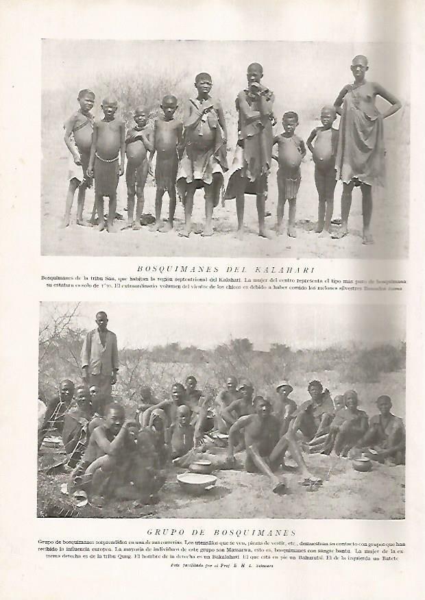 LAMINA 15665: Bosquimanes del Kalahari 