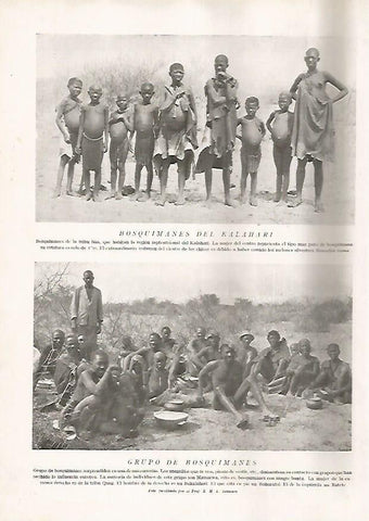 LAMINA 15665: Bosquimanes del Kalahari 