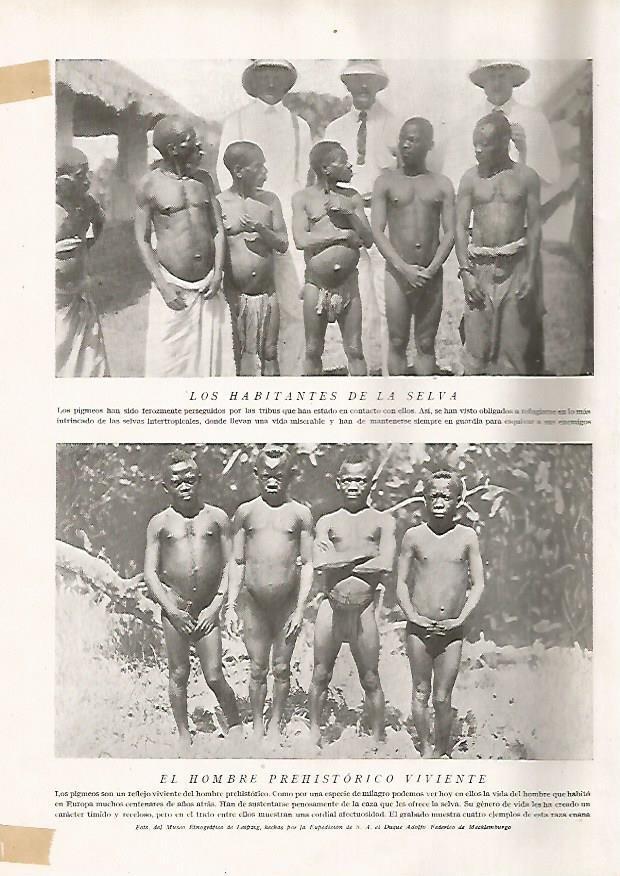 LAMINA 15664: Hombres pigmeos