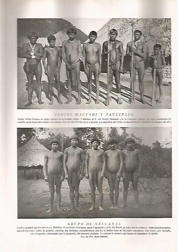 LAMINA 15611: Indios macushi, taulipang y yecuanas
