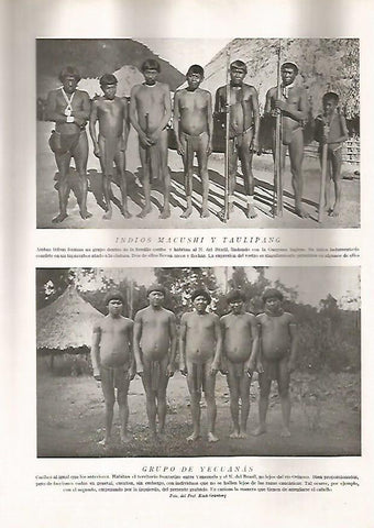 LAMINA 15611: Indios macushi, taulipang y yecuanas