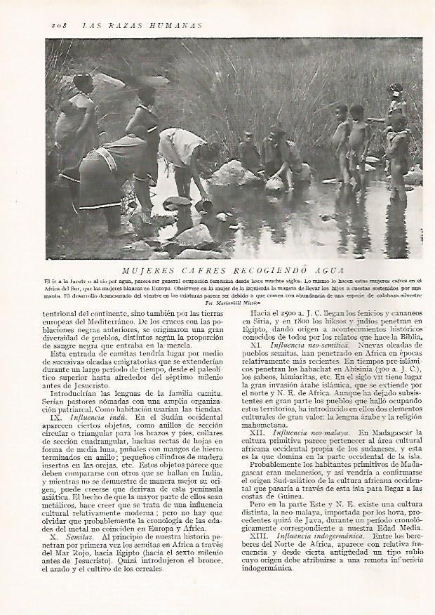 LAMINA 15659: Mujeres Cafres recogiendo agua