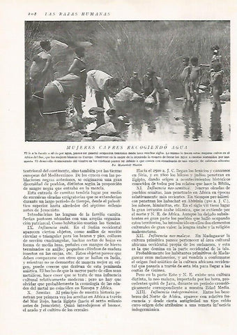 LAMINA 15659: Mujeres Cafres recogiendo agua