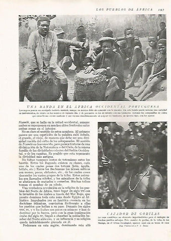 LAMINA 15653: Musicos de Africa occidental y cazador de gorilas