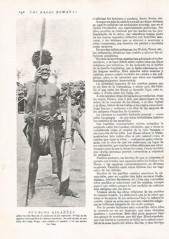LAMINA 15652: Jefe de una tribu del Congo