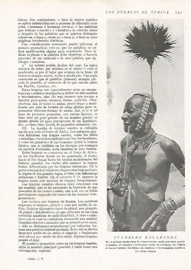 LAMINA 15651: Guerrero Kavaranda