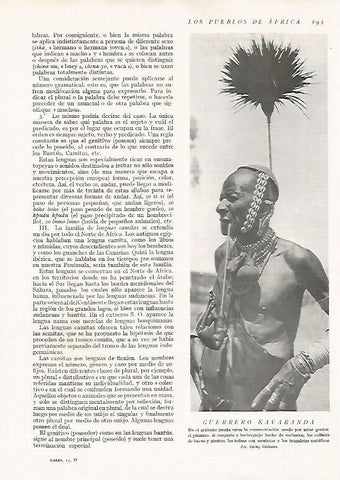 LAMINA 15651: Guerrero Kavaranda