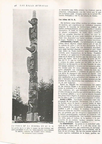 LAMINA 15566: Totem indio