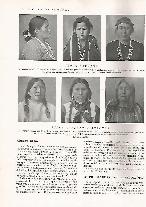 LAMINA 15565: Navajos, apaches y arapajos