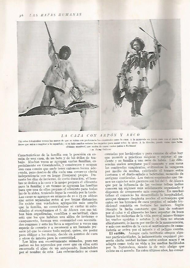 LAMINA 15561: Caza con arpon y arco