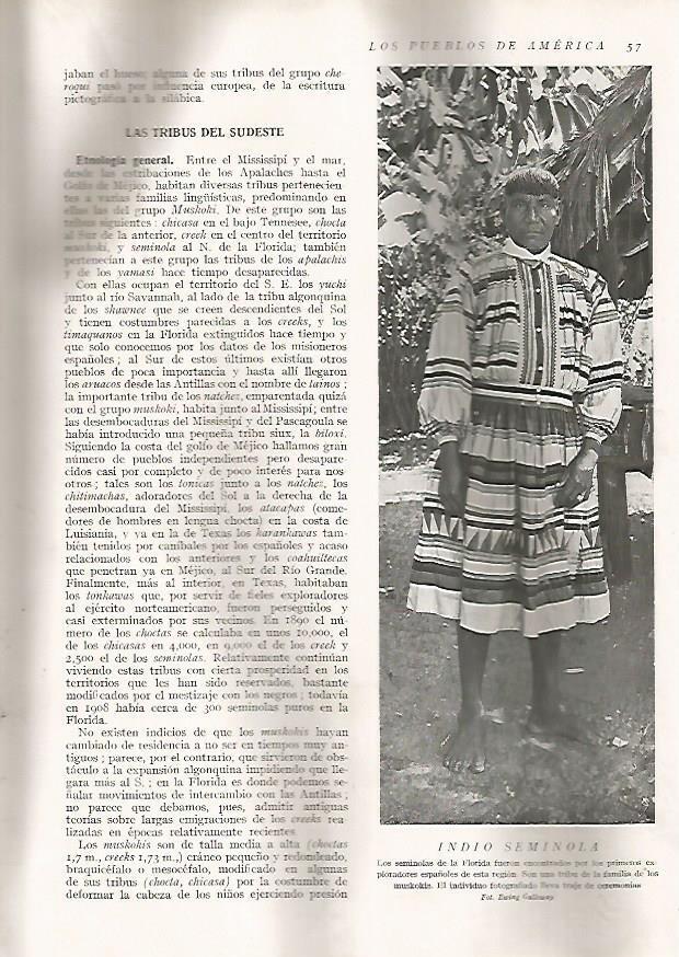 LAMINA 15574: Indio Seminola