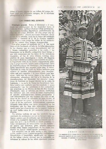 LAMINA 15574: Indio Seminola