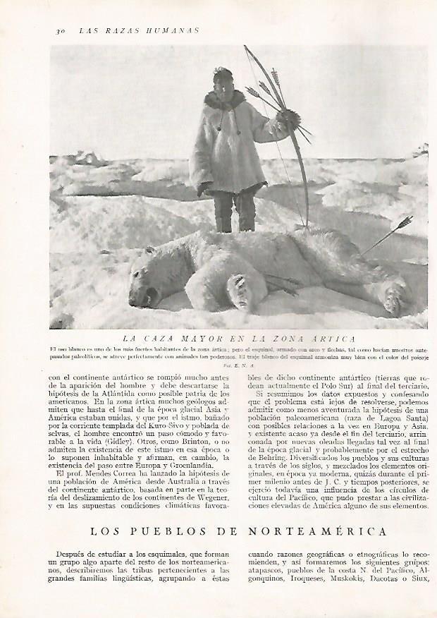 LAMINA 15556: Caza del oso blanco
