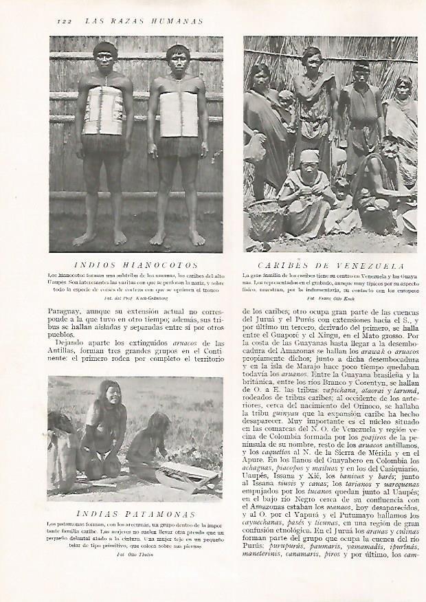LAMINA 15606: Indios Hianocotos, caribes de Venezuela e indias Patamonas