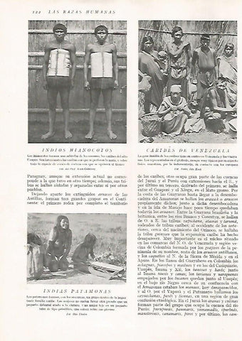 LAMINA 15606: Indios Hianocotos, caribes de Venezuela e indias Patamonas