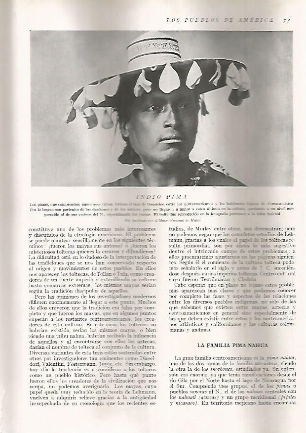 LAMINA 15584: Indio Pima