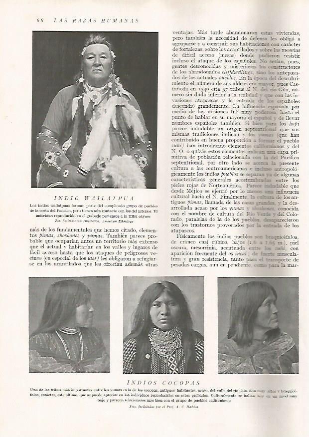 LAMINA 15579: Indio Wailatpua y Cocopas