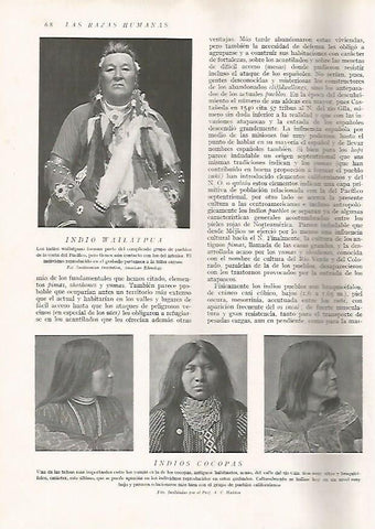 LAMINA 15579: Indio Wailatpua y Cocopas